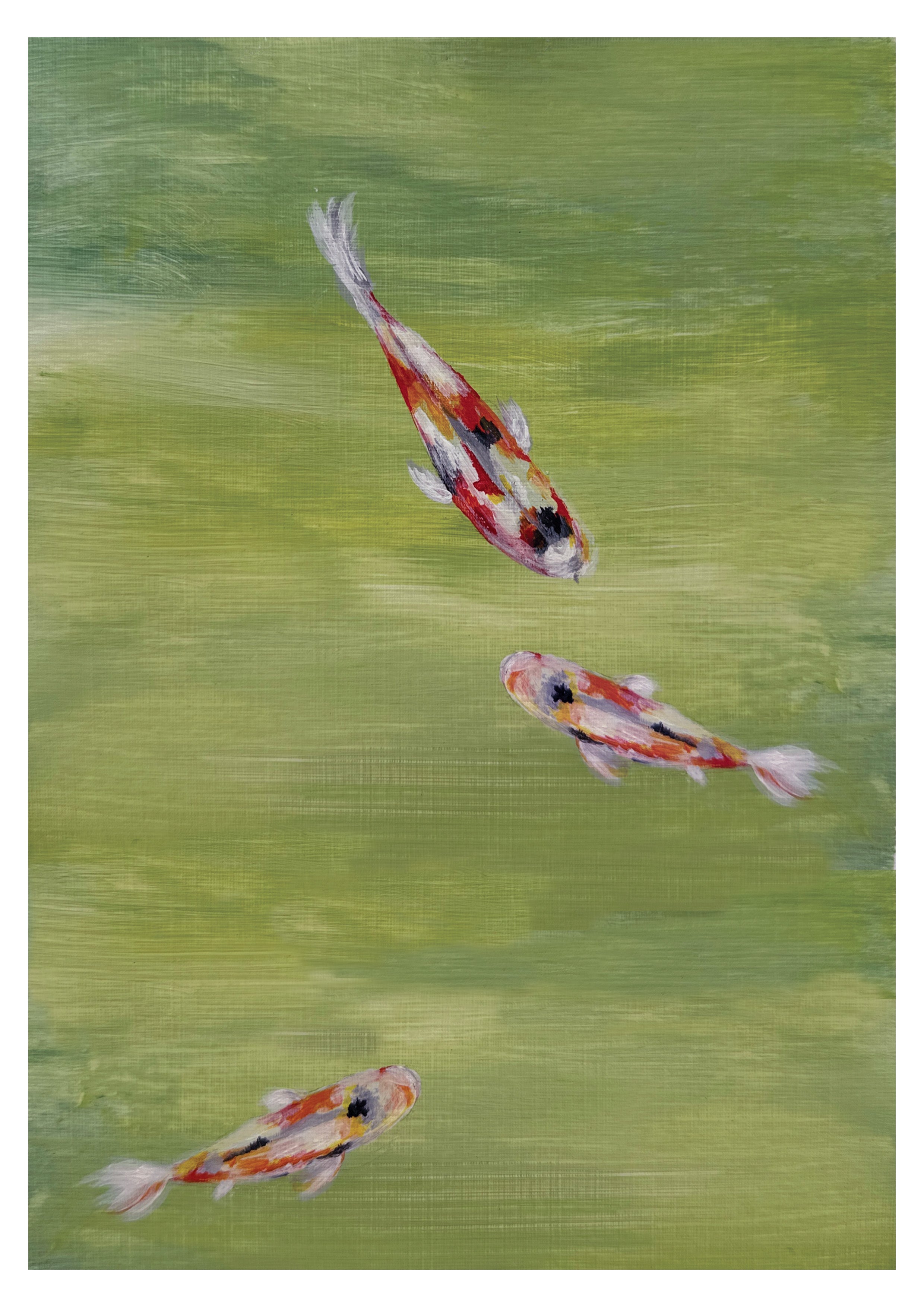 Koi fish green print